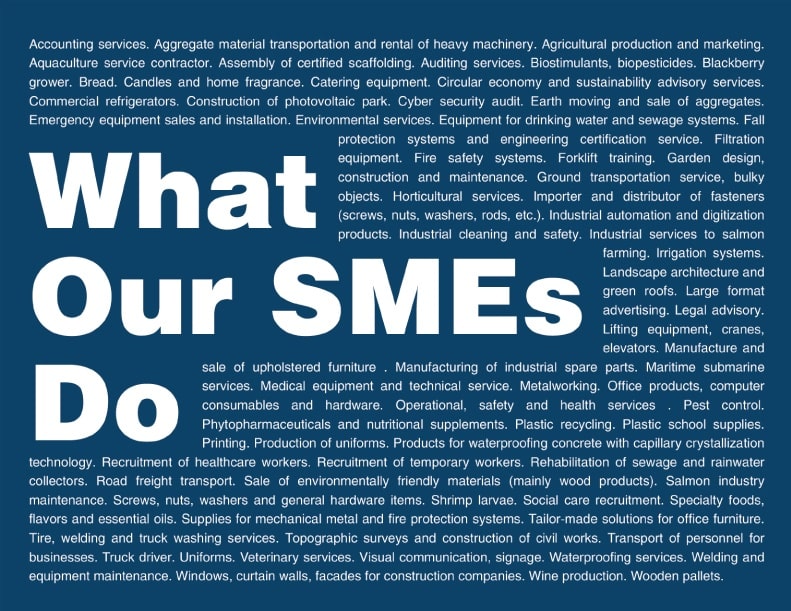 AGC-what-our-smes-do